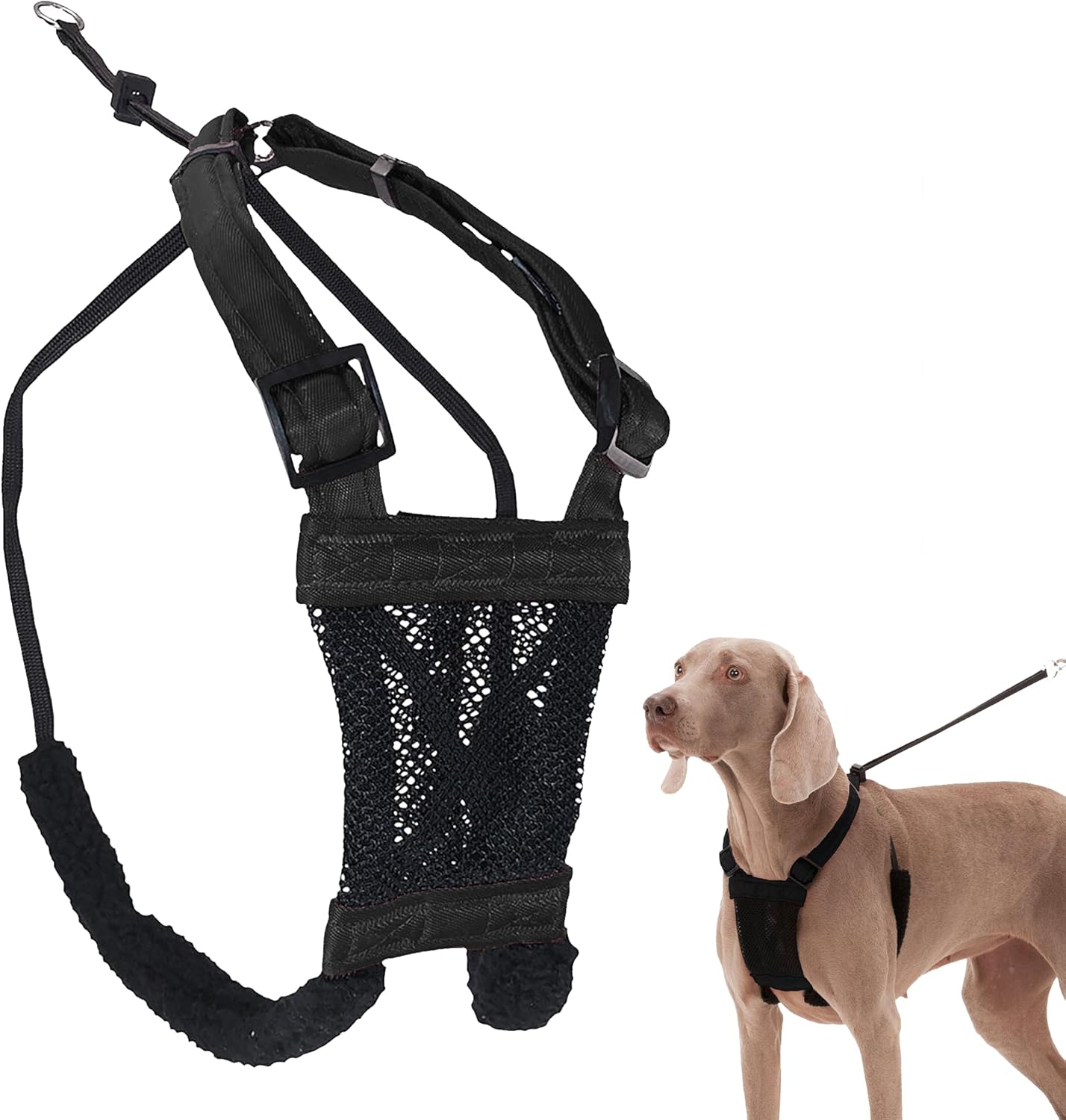 best dog harness to stop pulling